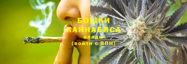 ГАЛЛЮЦИНОГЕННЫЕ ГРИБЫ Белоозёрский