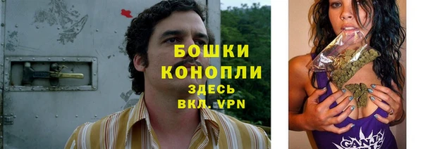 ГАЛЛЮЦИНОГЕННЫЕ ГРИБЫ Белоозёрский