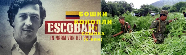 ГАЛЛЮЦИНОГЕННЫЕ ГРИБЫ Белоозёрский