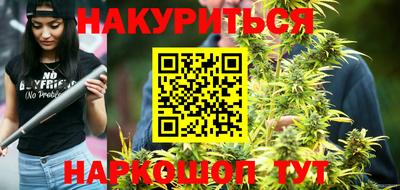 дмт Аргун