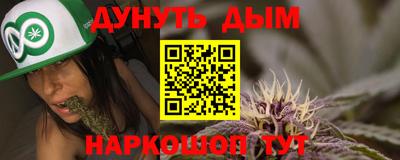 дмт Аргун