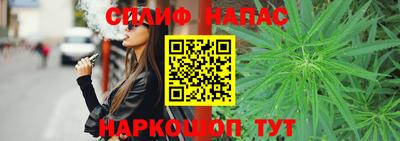 дмт Аргун