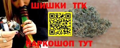 дмт Аргун
