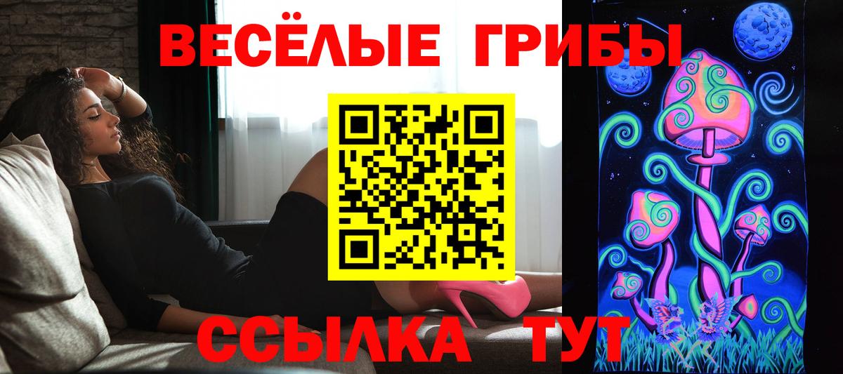 наркота  Вход с VPN  Псилоцибиновые грибы GOLDEN TEACHER  Белорецк  Псилоцибиновые грибы Psilocybe 